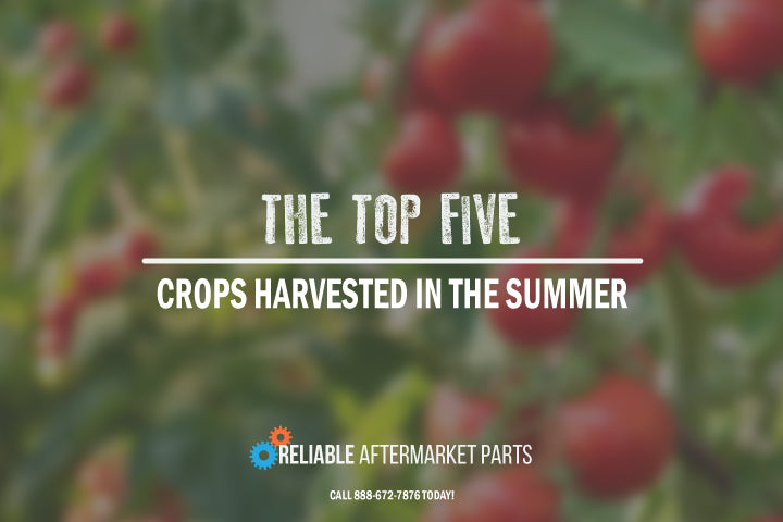 Top Five Crops Harvested in the Summer