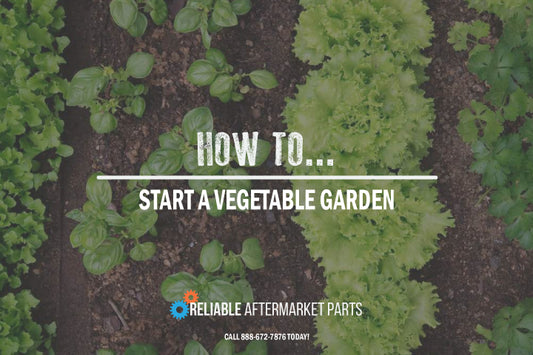 How to Start a Vegetable Garden