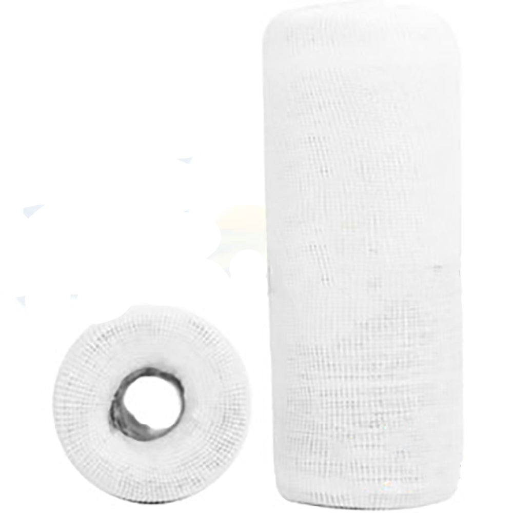 789631 Engine Oil Filter Fits White